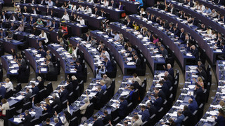 EU-Parlament stimmt mit knapper Mehrheit für Naturschutzgesetz