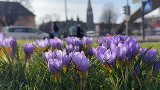 Nach Eis und Schnee: Sonne und milde Temperaturen in Deutschland