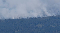 Feuerwehren im Dauereinsatz: Wo es in Deutschland überall brennt