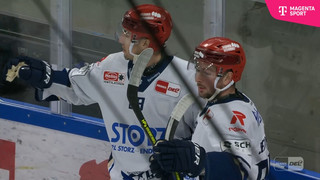 Dresden vs. Schwenningen - die Tore