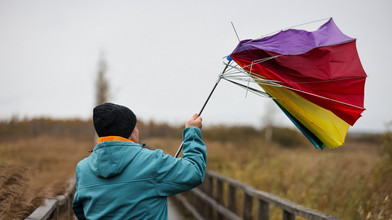 Herbststurm: Strom fällt aus, Bäume stürzen um