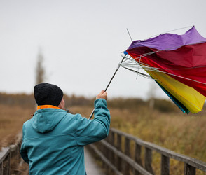 Herbststurm: Strom fällt aus, Bäume stürzen um