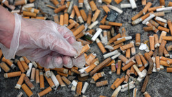 In Melsungen werden Kippen gesammelt und gezählt