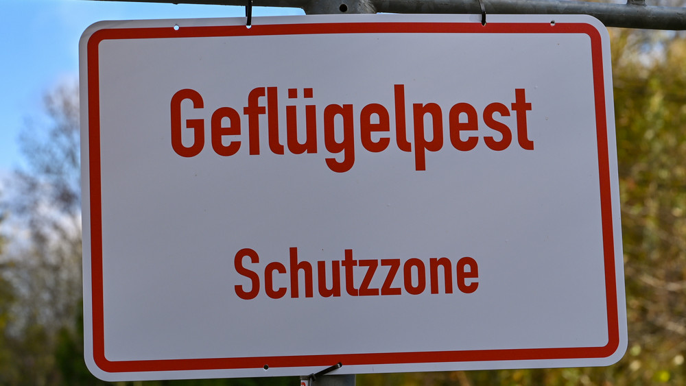 Wegen des Ausbruchs der Geflügelpest in Südthüringen müssen jetzt auch Halter in Unterfranken reagieren.