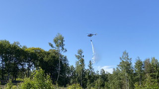 Waldbrand beim Bergpark in Kassel: Polizei bittet um Hinweise