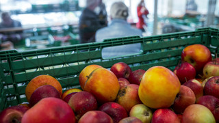 Mutmaßliche Plastikbox-Bande: mehr als eine Million Euro Schaden