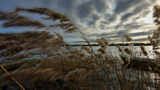 Wettervorhersage für Hessen: Es wird turbulent