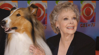 Trauer um June Lockhart: «Lassie»-Star mit 100 Jahren gestorben