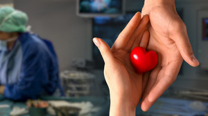 Zahl der Organspenden leicht gestiegen