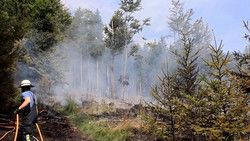 Anderthalb Fußballfelder Waldfläche in Flammen