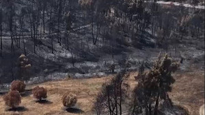 Waldbrandgefahr: Griechenland startet erneut in Hitzewelle