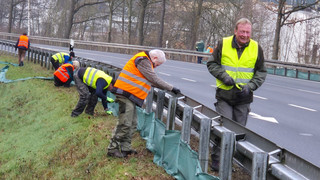 Amphibienzäune in Breuberg: Schutz für Kröten und Frösche an der B426