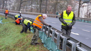 Amphibienzäune in Breuberg: Schutz für Kröten und Frösche an der B426