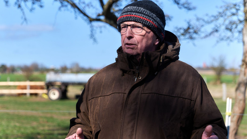 Buckelwal liegt weiter in Wismarbucht