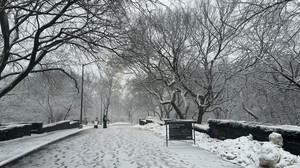 Blizzard trifft Nordosten USA: Fahrverbot in New York