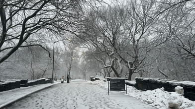 Blizzard trifft Nordosten USA: Fahrverbot in New York