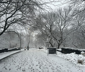 Blizzard trifft Nordosten USA: Fahrverbot in New York