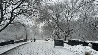 Blizzard trifft Nordosten USA: Fahrverbot in New York