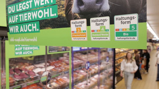 Bio-Boom trotz Anbau-Stillstand: Umsatz steigt, Flächen nicht