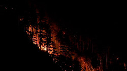 Waldbrand am Gardasee: Mehr als 200 Menschen evakuiert