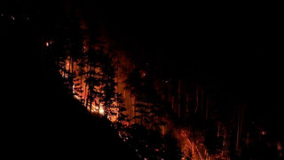 Waldbrand am Gardasee: Mehr als 200 Menschen evakuiert
