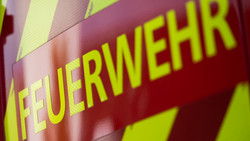 Feuerwehr Mainz: Pferdehof in Flammen
