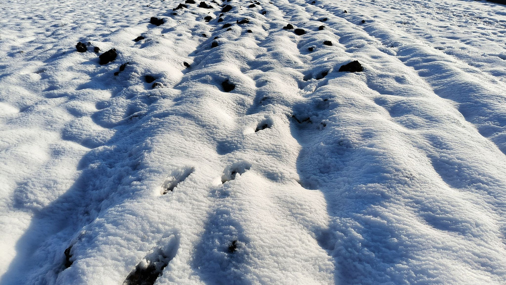 Hessische Bauern trotzen Winter