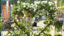 Fürstliches Gartenfest im Kloster Eberbach