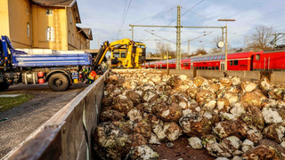 Bad Soden-Salmünster: 2t Rüben auf Gleisen, Bahnreisende ausgebremst