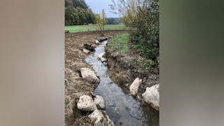 Land Hessen vergibt Förderung für Renaturierung und Hochwasserschutz