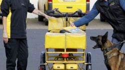 Hundeangriffe: Training für Zusteller