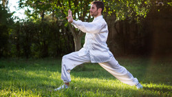 Tai Chi und Qigong im Park in Rotenburg