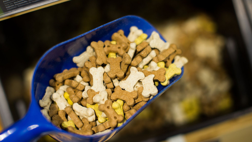 Hundefutter