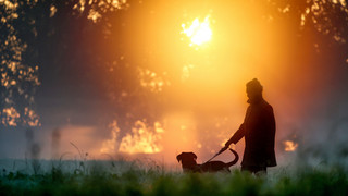 Vermeintlicher Giftköder bei Darmstadt ist doch nur ein Pilz