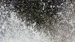 Melsungen: Wasserspaß an der Zwei-Pfennig Brücke