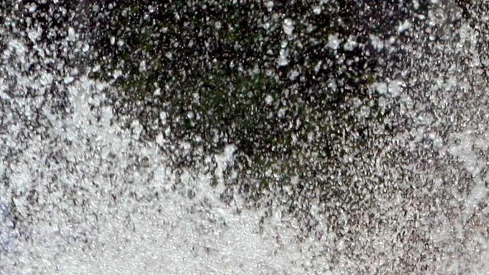 Melsungen: Wasserspaß an der Zwei-Pfennig Brücke