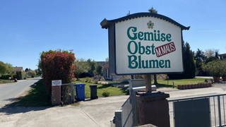 Gammelgemüse-Skandal: Ausmaß wohl kleiner als bei Wilke Wurst