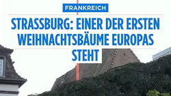 Erster Weihnachtsbaum steht bereits auf dem Weihnachtsmarkt
