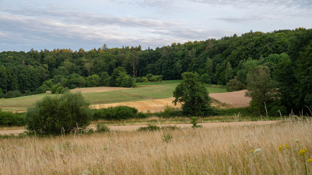 Waldbrandgefahr