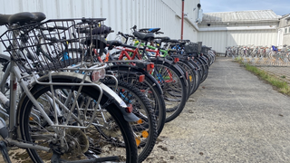 Herrenlose Fahrräder zum Verkauf: Fundfahrradbörse in Marburg