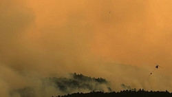 Waldbrände wüten in Teilen Frankreichs, Spaniens und Italiens