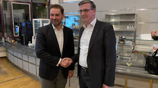 Landratswahl Rheingau-Taunus-Kreis: Sandro Zehner setzt sich durch