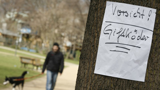 Polizei in Heppenheim warnt: Verdacht auf ausgelegte Giftköder
