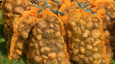 Hephata Diakonie: Kostenlose Kartoffeln zum Jubiläum