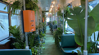 Erste begrünte Straßenbahn weltweit fährt in Mannheim