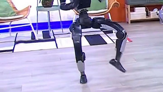 Dieser Roboter stielt allen die Show 