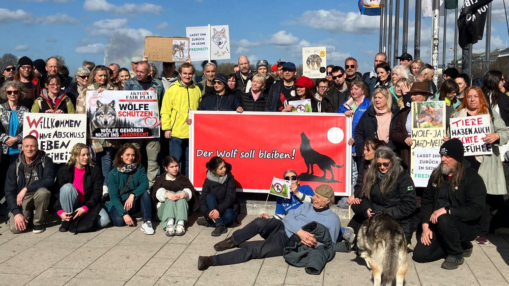 Mahnwache zur Befreiung des Hamburger Wolfs