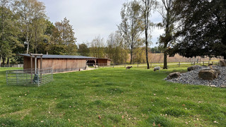 Heimattiergarten Fulda wird zu "WirGarten" und eröffnet neu