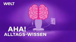Podcast: Aha! Zehn Minuten Alltags-Wissen