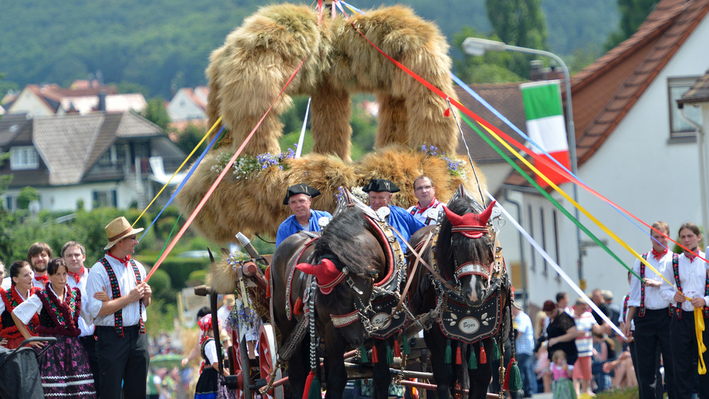 Höhepunkt des Schlitzer Trachtenfestes ist der große Umzug am Sonntag. (Archivbild)